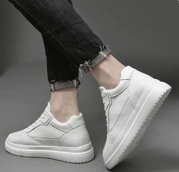 "הסטייל הקלאסי — במחיר שלא תאמין."